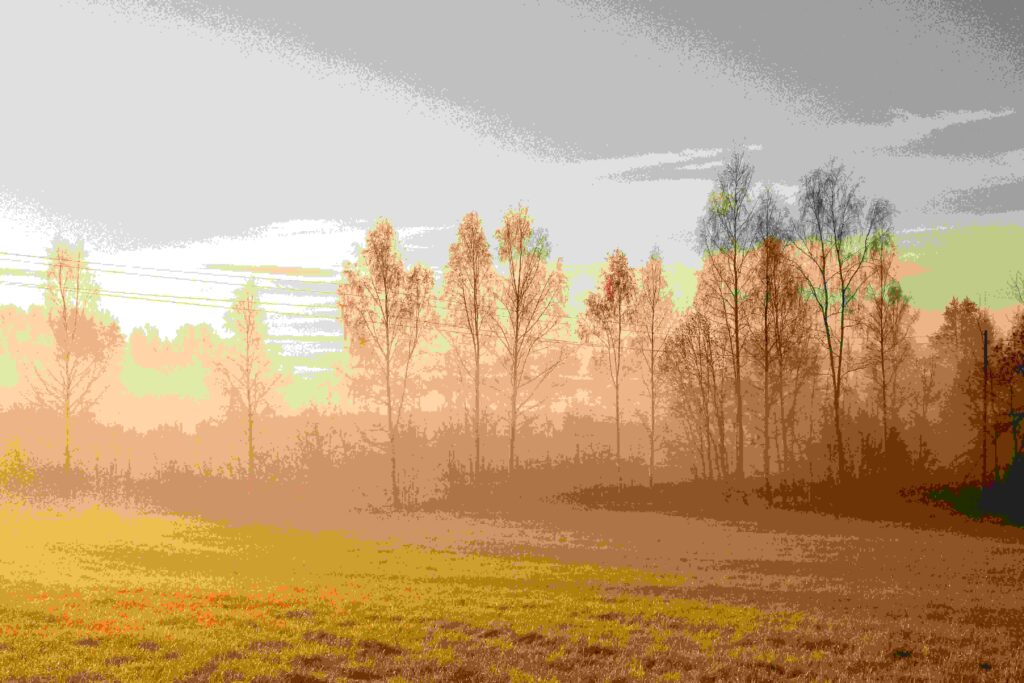 7 Morning Habits That Boost Energy and Focus